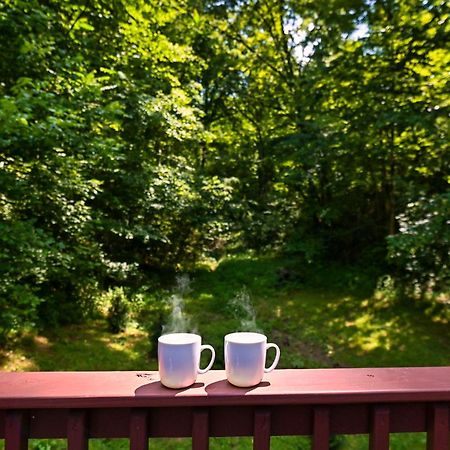 Smoky Mountains Hut Tub Cabin Dog Friendly Sevierville Buitenkant foto